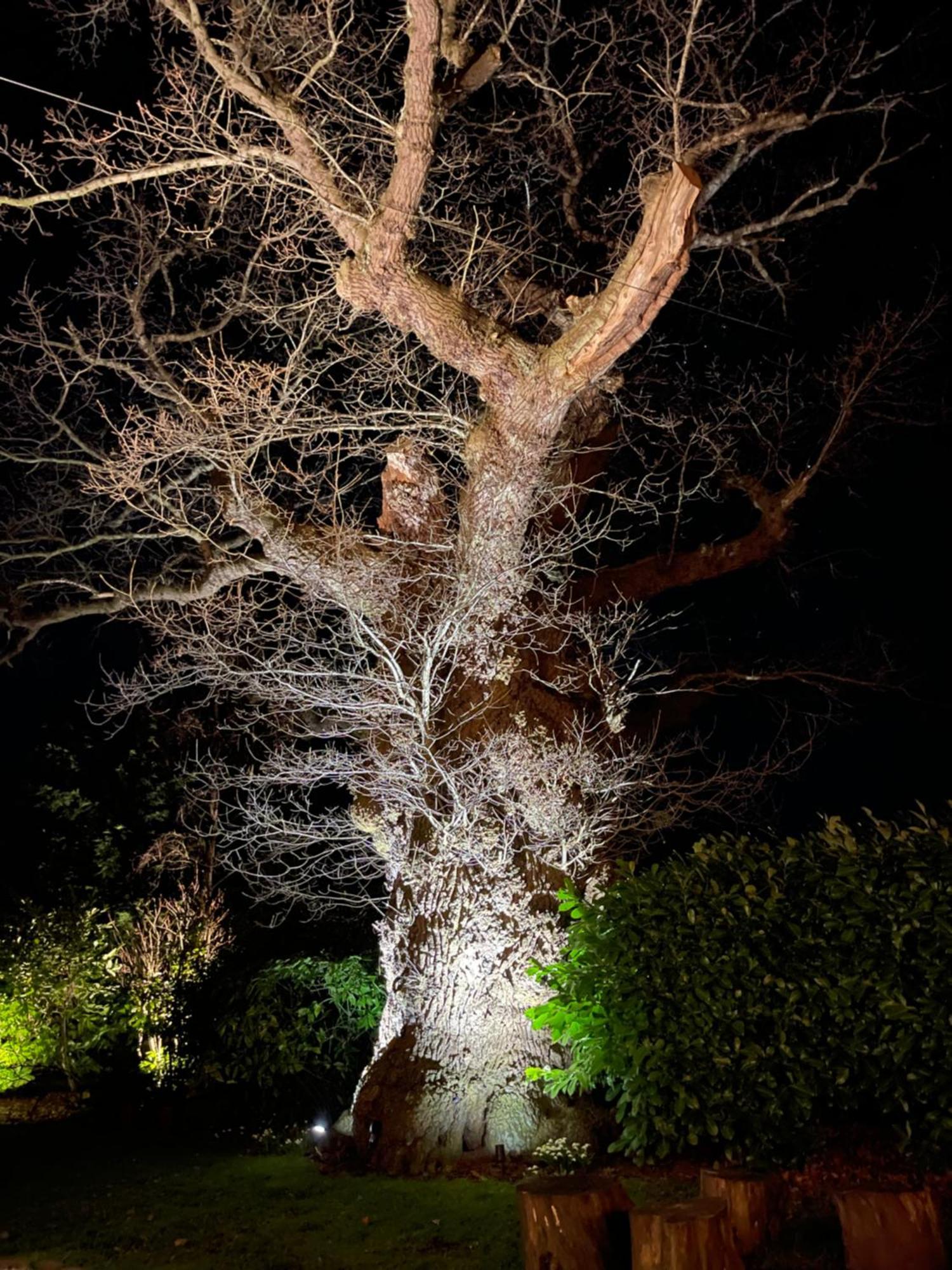 Oak Tree Hideaway Villa Whitchurch  Buitenkant foto